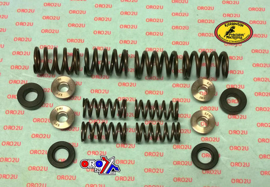 VALVE SPRING SET YZ450F 14-16, KIBBLEWHITE 80-80750