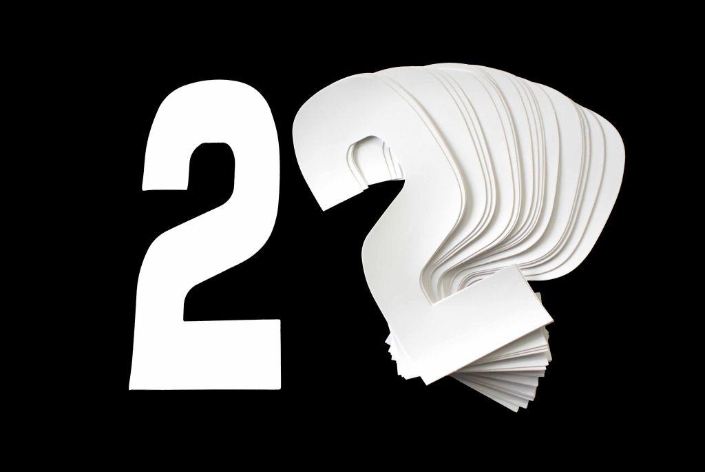 2 WHITE 8"No.20cm. PACK