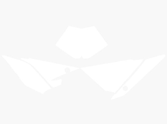 18-19 RR 2T 4T BETA BACKGROUNDS, WHITE BLACKBIRD 3B04/10