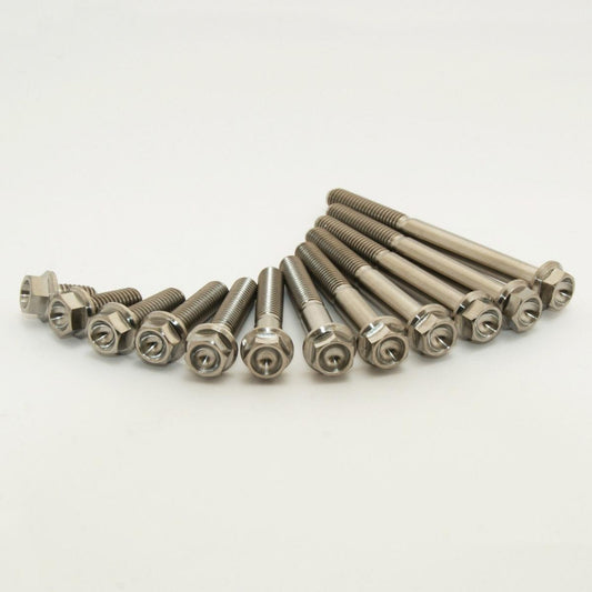 HUSQ TE 250i/300i TITANIUM ENGINE BOLT KIT, SCAR STIMENGTE250i